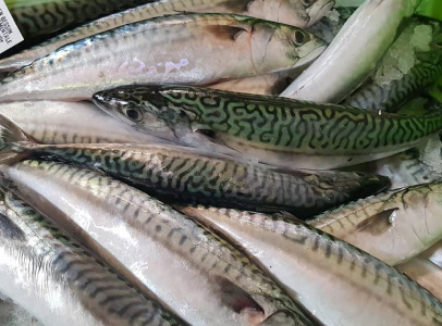Poissons
