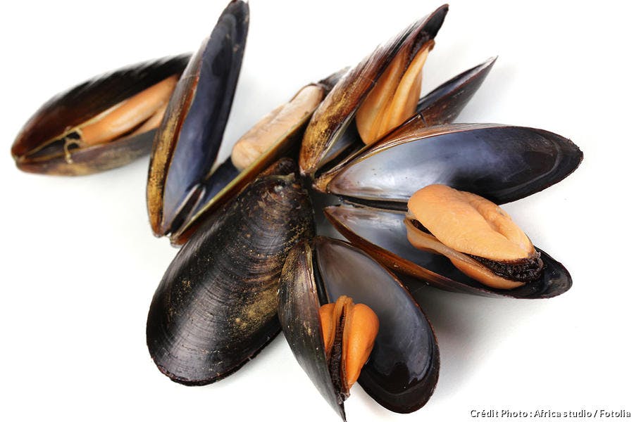 Moules de Bouchot Granville